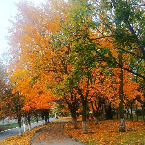 Photo #6601433