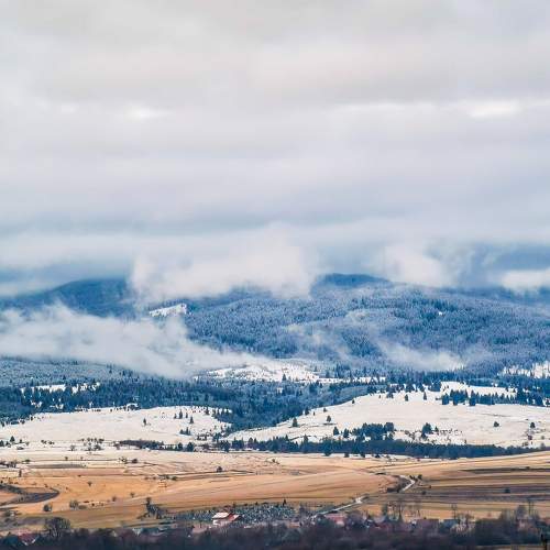 Photo #6601782
