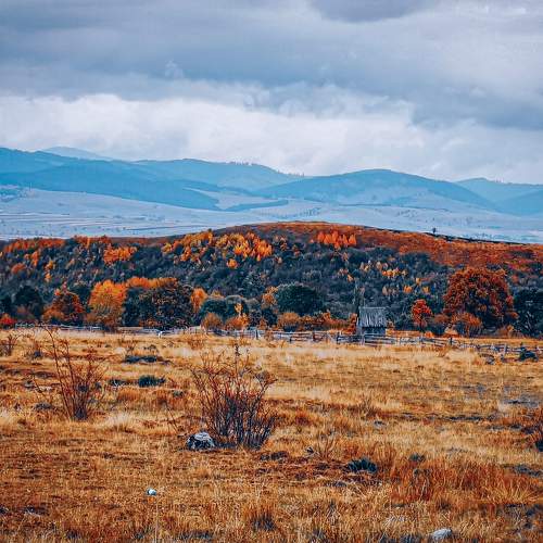 Photo #6601800