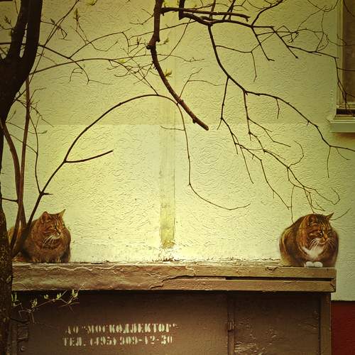 Gatekeepers