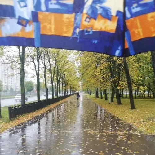 Photo #6601954