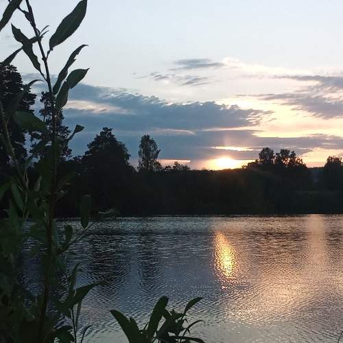 Photo #6602065