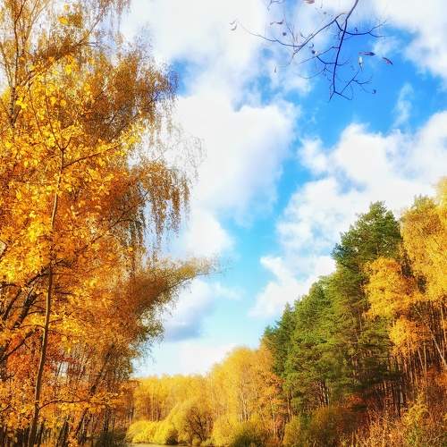 Photo #6602446