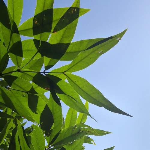 Photo #6602795