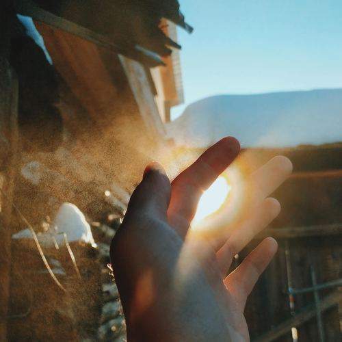 Photo #6602938