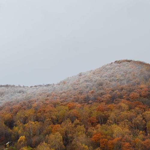 Photo #6602948