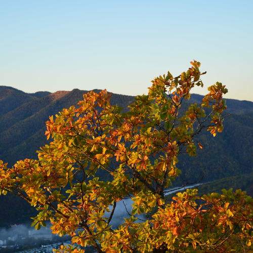Photo #6602949