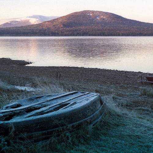 Photo #6602991