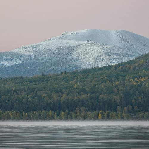 Photo #6603001