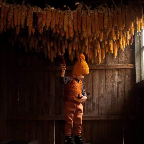 Photo #6603019