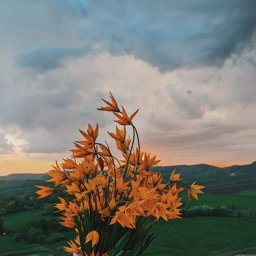 Photo #6603104