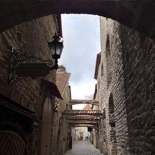 Photo #6603355