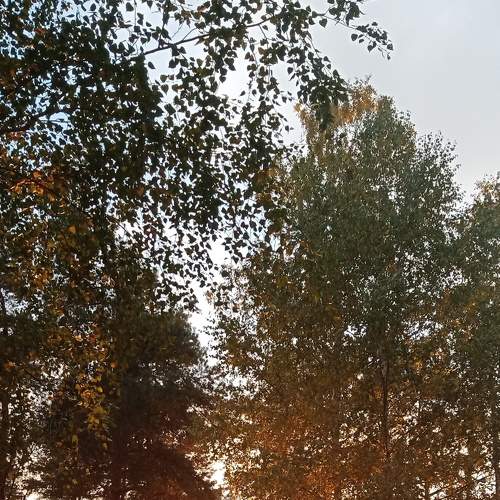 Photo #6603379