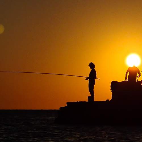 Photo #6603746