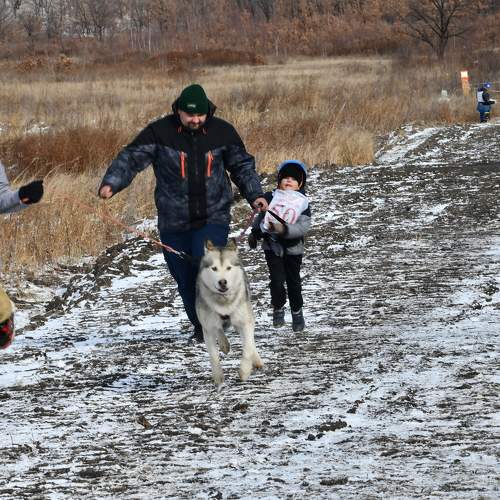 Photo #6603806