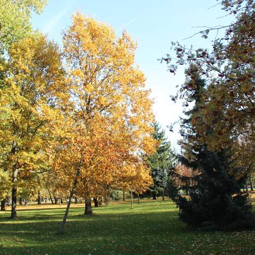 Photo #6603976