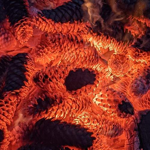 Photo #6604016