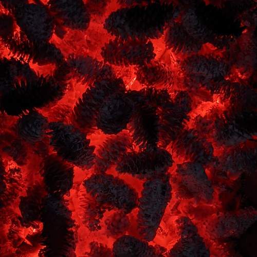 Photo #6604033