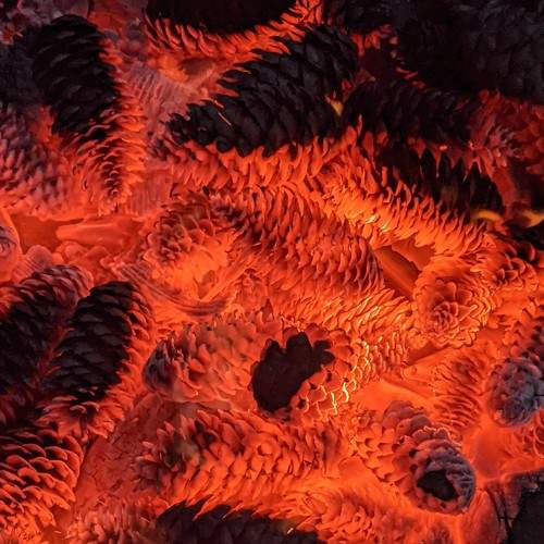 Photo #6604034