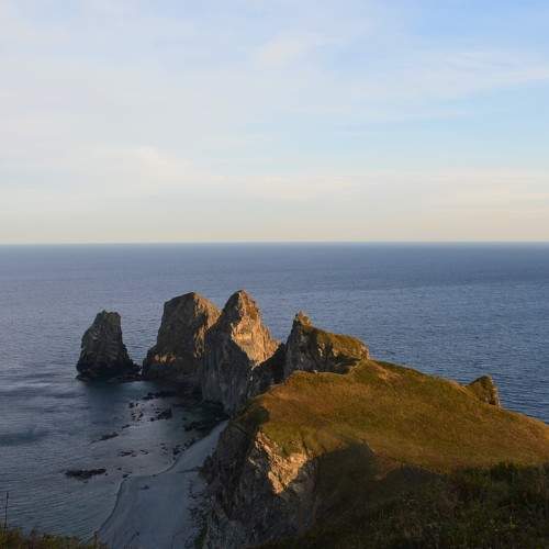 Photo #6604036