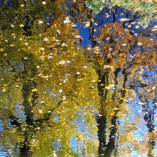 Photo #6604056