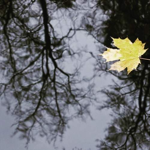 Photo #6604057