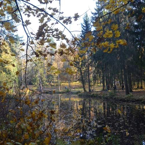 Photo #6604073