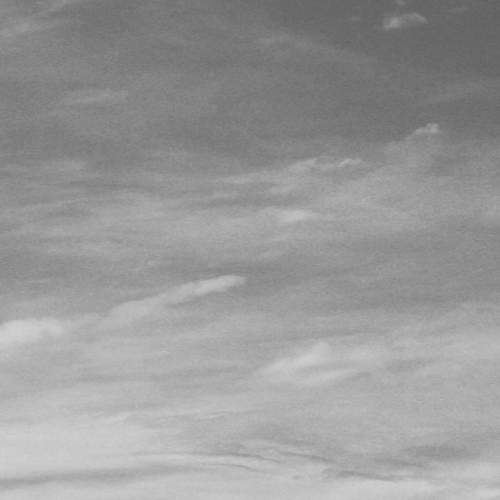 Photo #6604211