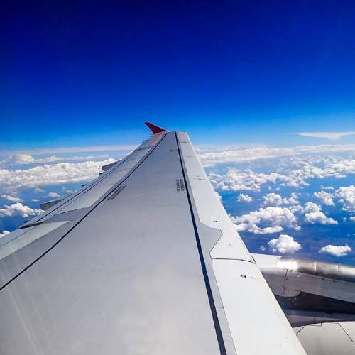 Photo #6604461
