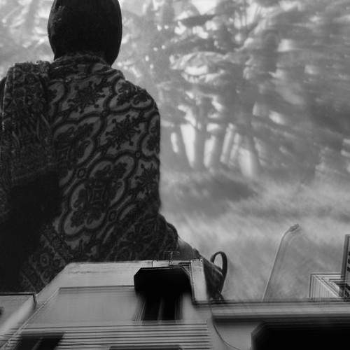 Photo #6604474