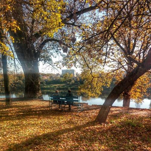 Photo #6604674