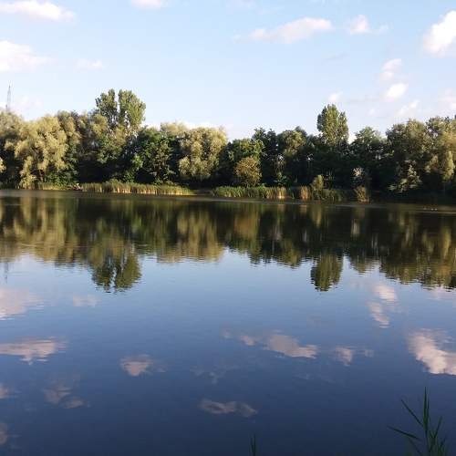 Photo #6604794