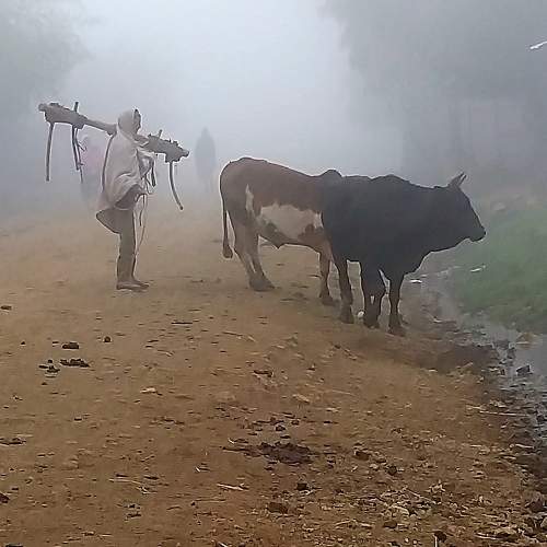 Photo #6605009