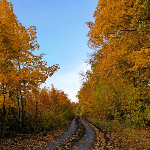 Photo #6605036