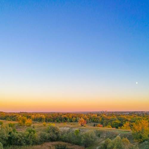 Photo #6605103