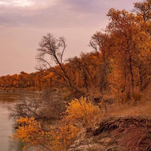 Photo #6605125