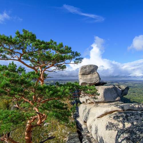Photo #6605187