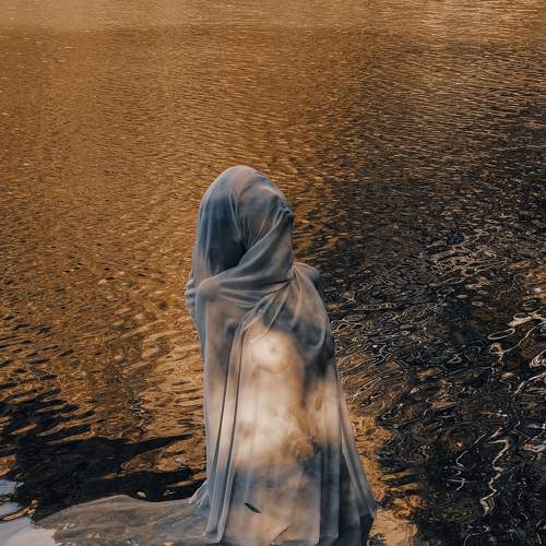 Photo #6605319