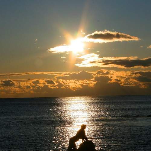 Photo #6605504