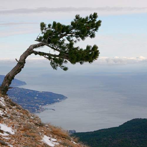 Photo #6605505