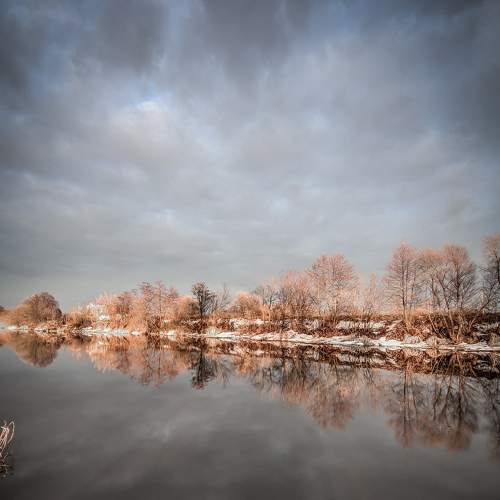 Photo #6605726