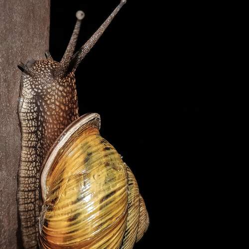 Photo #6605754
