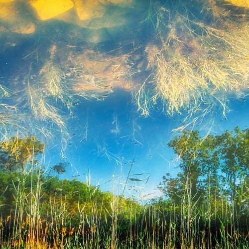 Photo #6605896