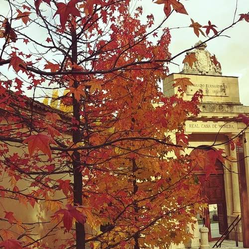 Autumn colors