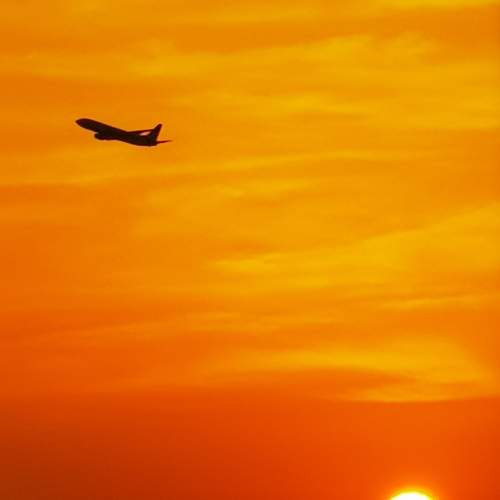 Photo #6606235
