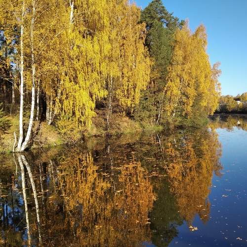 Photo #6606361
