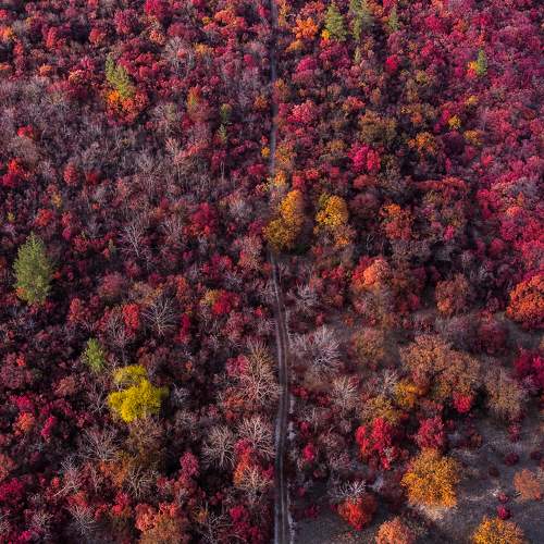 Photo #6606592