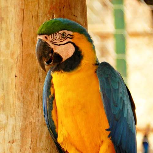 Photo #6606916