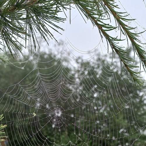 Photo #6607148