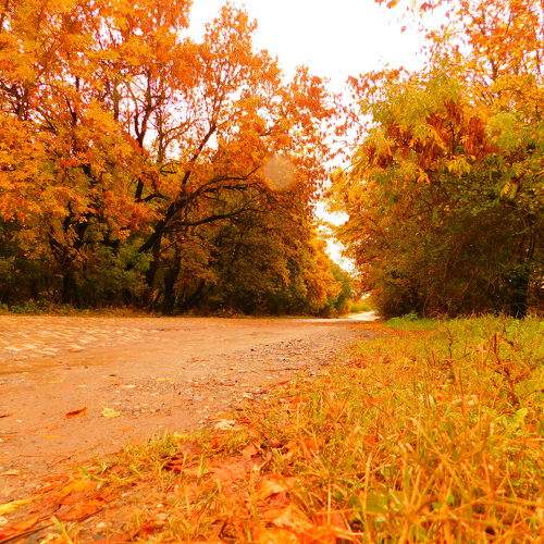 Photo #6607305